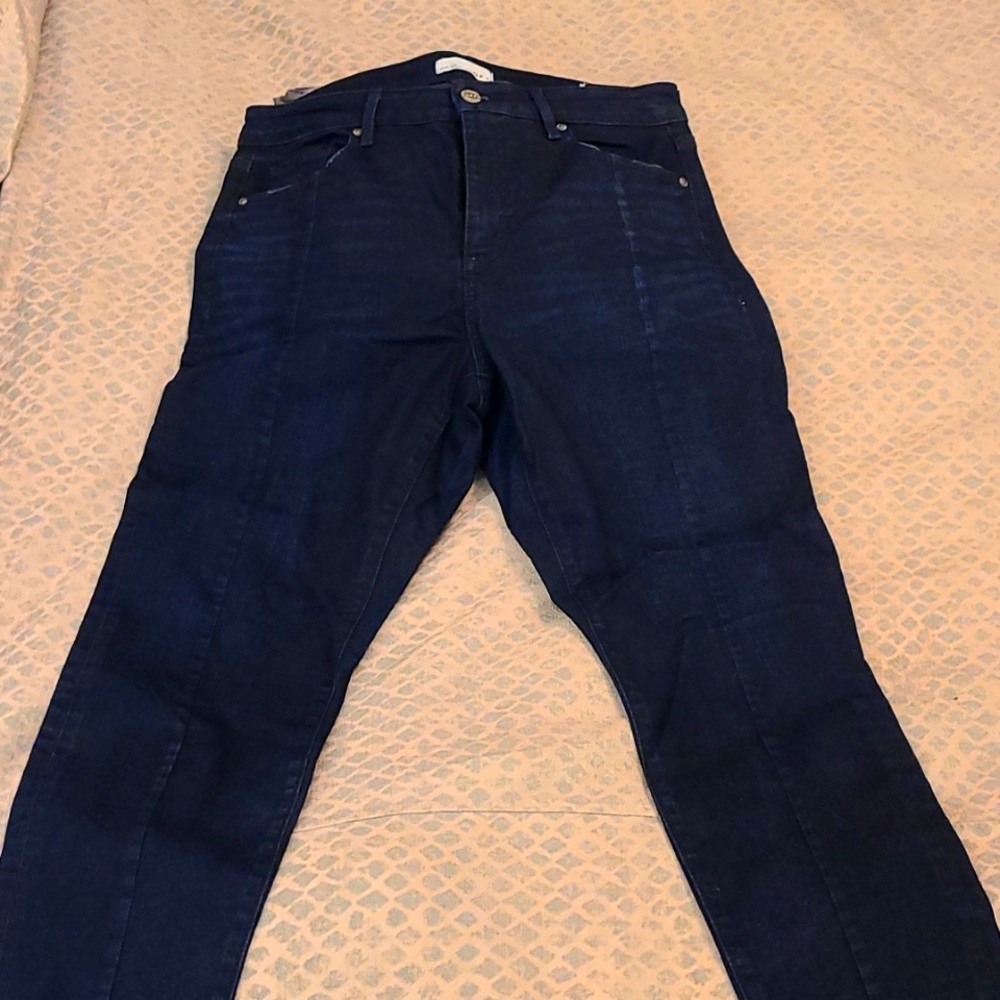 NWOT Loft Curvy Skinny Dark Blue Denim